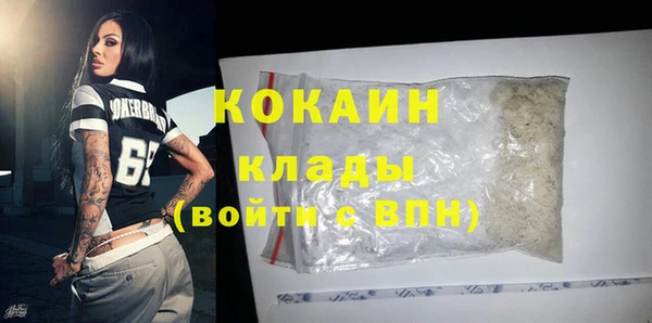 дурь Пересвет