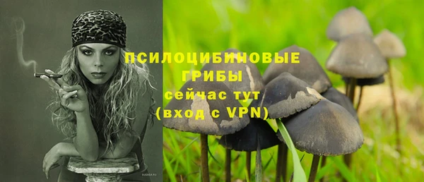 дурь Пересвет