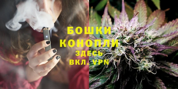 дурь Пересвет