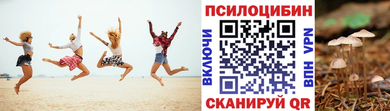 Купить закладки Приволжский Галлюциногенные грибы Psilocybine cubensis